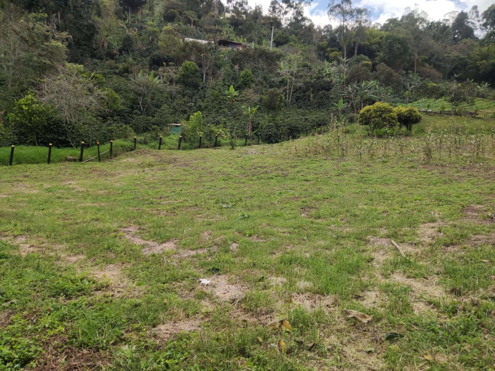 Venta de Lote Rural de 1.800 M2 en Pacho Cundinamarca