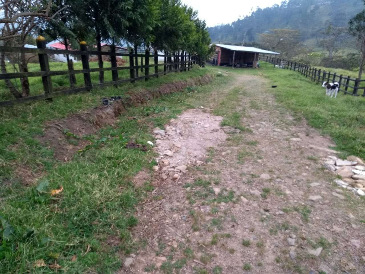 Vendo finca de 40 fanegadas en Pacho Cundinamarca