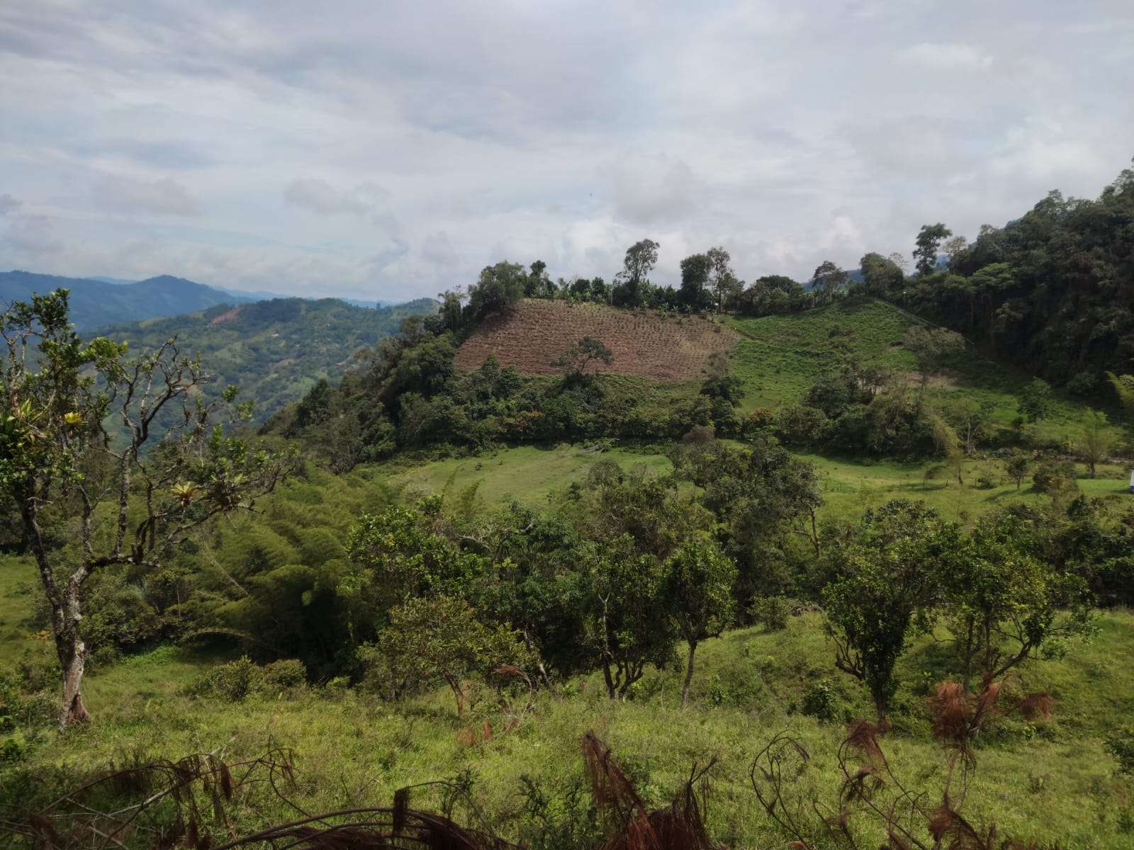 Vendo o Permuto Finca de 8 Fanegadas en Pacho Cundinamarca
