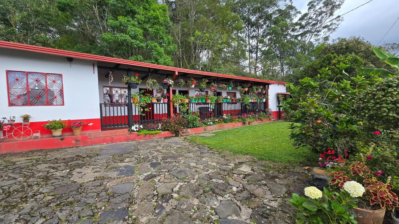 Venta de Finca Cafetera Productiva en Pacho, Cundinamarca | 9.600 m² con Casa de Campo